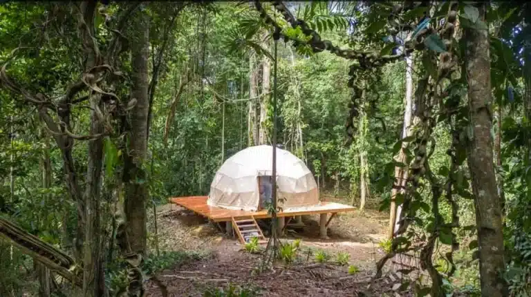 geodesic dome home