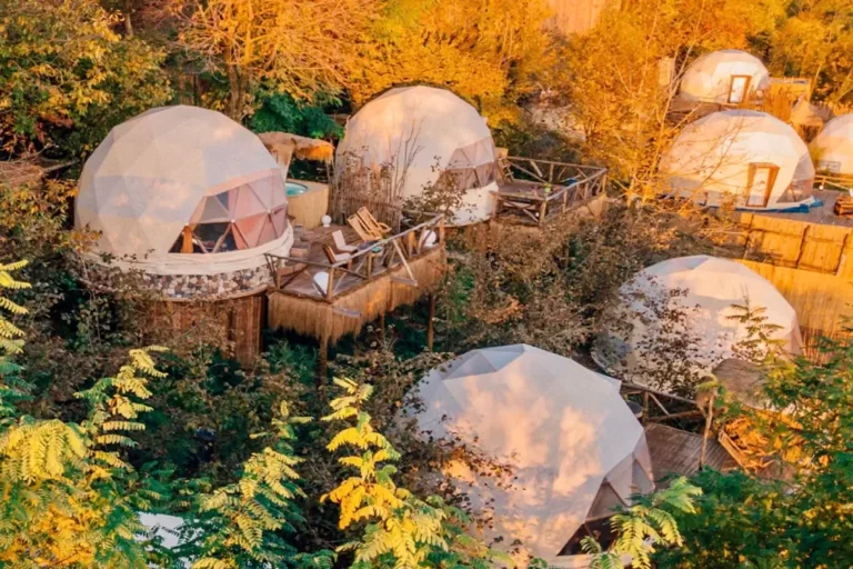 Geodesic Dome