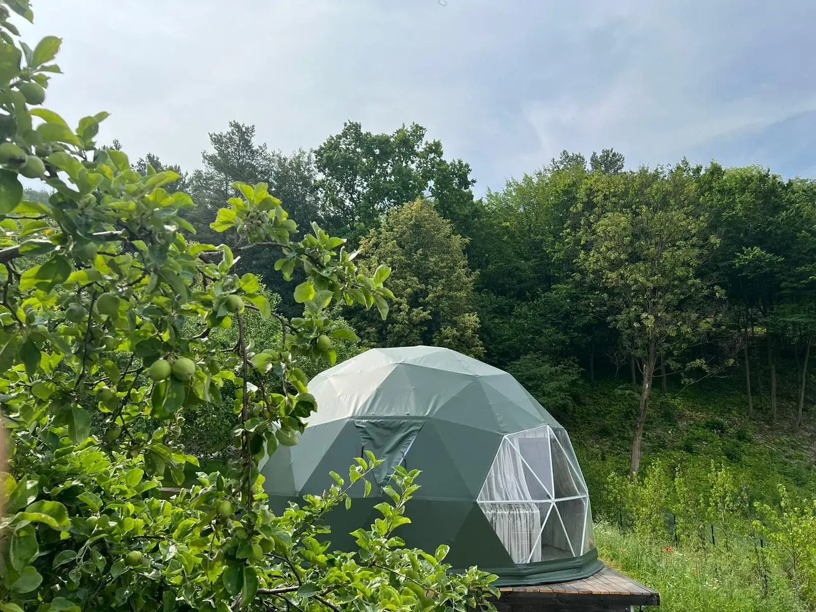 Comfort Camping